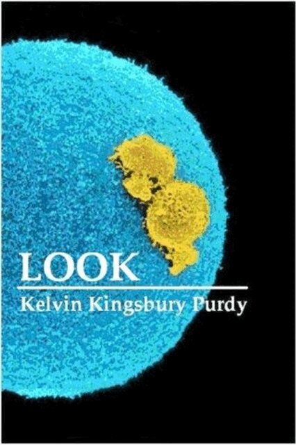 Kelvin Kingsbury Purdy, Kelvin Purdy - Look, E-bok. Tillgänglighet: Lägg i varukorg
