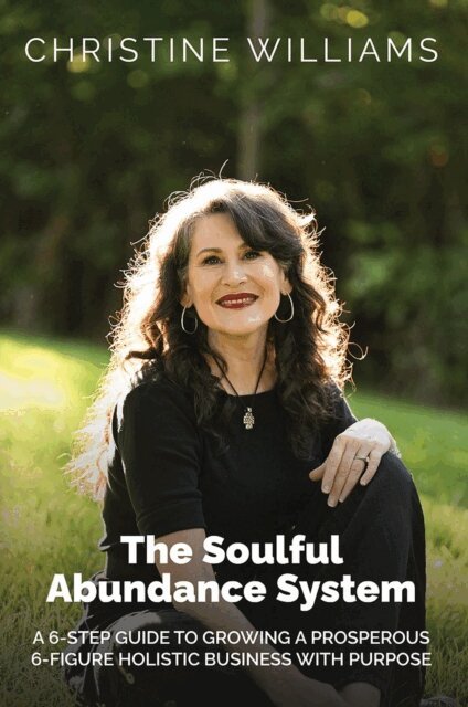 Christine Williams - Soulful Abundance System, E-bok