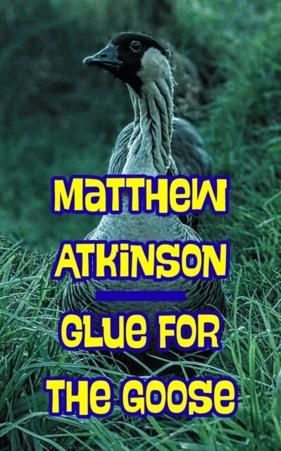 Matthew Atkinson - Glue for the Goose, E-bok