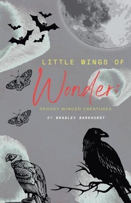 Bradley Barkhurst - Little Wings of Wonder, Häftad. Tillgänglighet: Lägg i varukorg