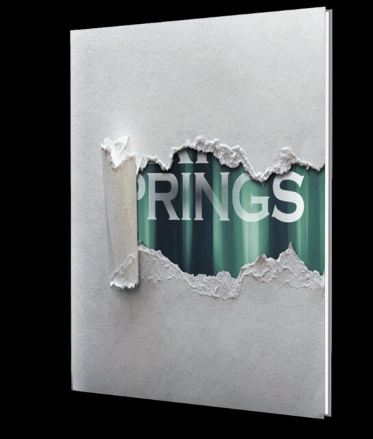 Alan Orloff - Dark Springs, E-bok