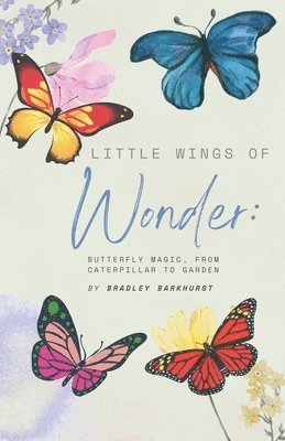 Bradley Barkhurst - Little Wings of Wonder, Häftad. Tillgänglighet: Lägg i varukorg