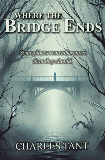 Charles Tant - Where The Bridge Ends, E-bok. Tillgänglighet: Lägg i varukorg