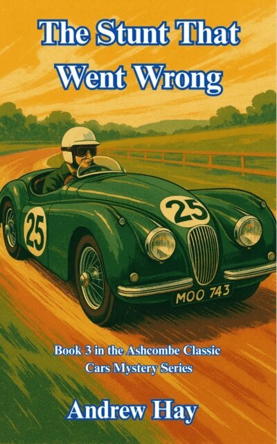 Andrew Hay - Stunt That Went Wrong, E-bok