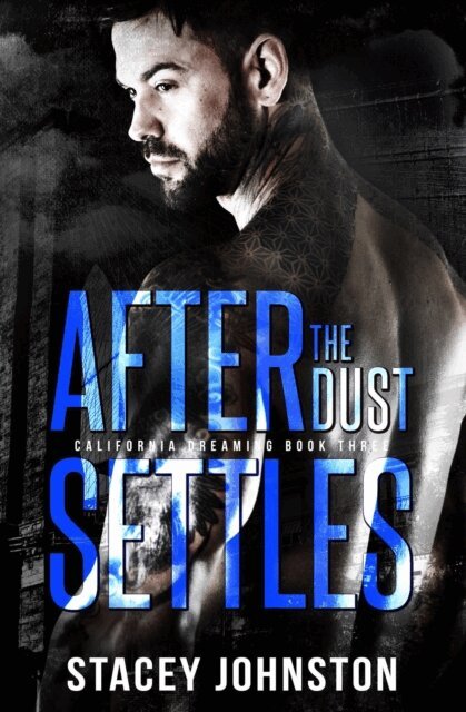 Stacey Johnston - After the Dust Settles, E-bok