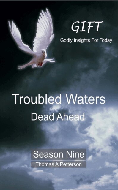 Thomas A. Petterson - Troubled Waters Dead Ahead, E-bok