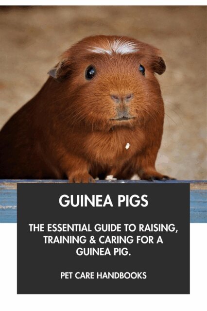 Pet Care Handbooks - Guinea Pigs: The Essential Guide to Raising, Training & Caring for A Guinea Pig., E-bok