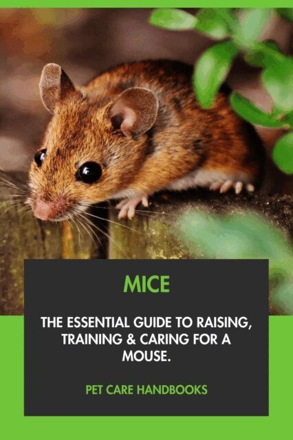 Pet Care Handbooks - Mice: The Essential Guide to Raising, Training & Caring for A Mouse., E-bok