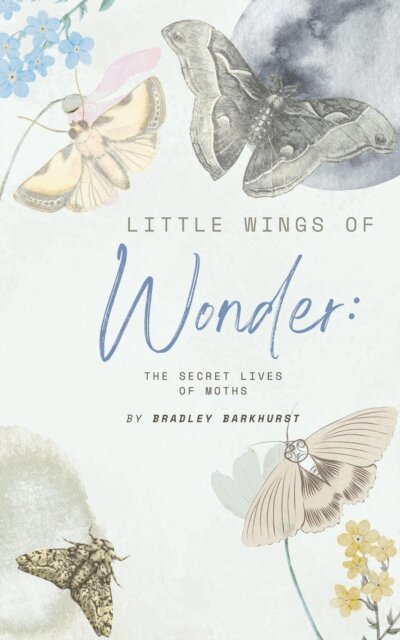 Bradley Barkhurst - Little Wings of Wonder: The Secret Lives of Moths, E-bok. Tillgänglighet: Lägg i varukorg