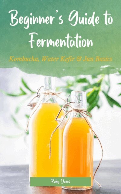 Beginner's Guide to Fermentation: Kombucha, Water Kefir & Jun Basics