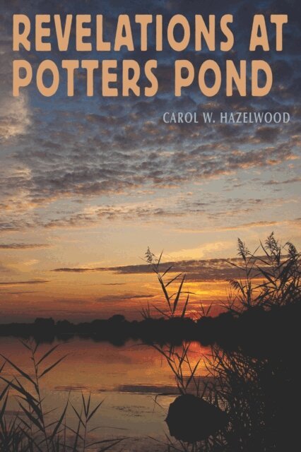 Carol Hazelwood - Revelations at Potters POnd, E-bok