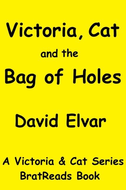 David Elvar - Victoria, Cat and the Bag of Holes, E-bok