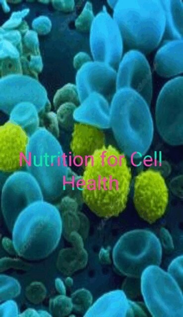 Robert Knight - Nutrition for Cell Health, E-bok