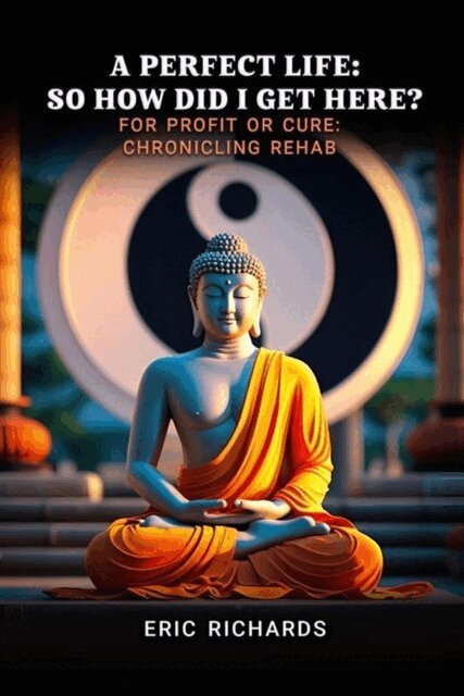 Eric Richards - Perfect Life: So How Did I Get Here? For Profit or Cure: Chronicling Rehab, E-bok