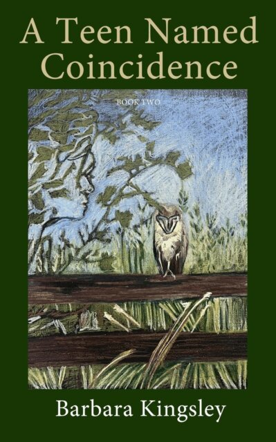 Barbara Kingsley - Teen Named Coincidence, E-bok