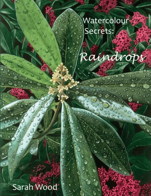 Sarah Wood - Watercolour Secrets: Raindrops, E-bok