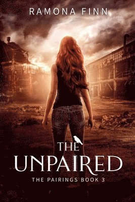 Ramona Finn - Unpaired, Häftad