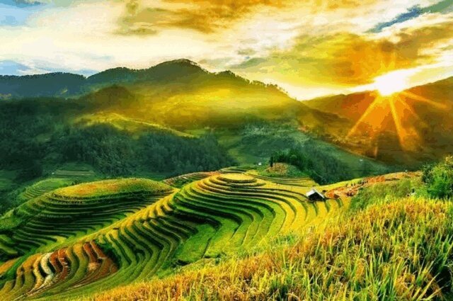 NGUYEN QUOC CUONG - Wow Vietnam The Secrets of A Timeless Land, E-bok. Tillgänglighet: Lägg i varukorg