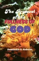 Dominion O Roberts - Protocol of the Fullness of God, Häftad. Tillgänglighet: Lägg i varukorg