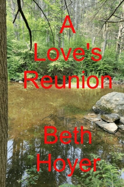 Beth Hoyer - Love's Reunion, E-bok