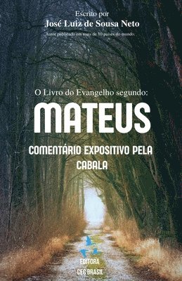 José Luiz de Sousa Neto - O Livro do Evangelho Segundo Mateus, Häftad. Tillgänglighet: Lägg i varukorg