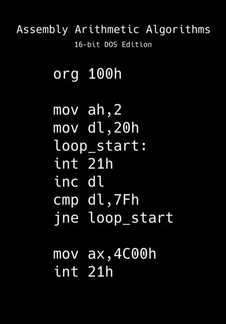 Chastity White Rose - Assembly Arithmetic Algorithms 16-bit DOS Edition, E-bok. Tillgänglighet: Lägg i varukorg