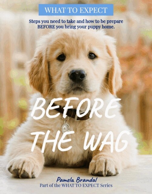 Pamela Brandal - Before the Wag, E-bok