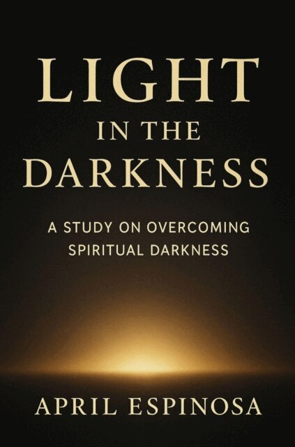 April Espinosa - Light In The Darkness, E-bok