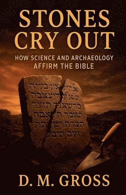 D M Gross - Stones Cry Out, Häftad