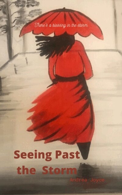 Andrea Joyce - Seeing Past the Storm, E-bok