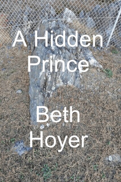 Beth Hoyer - Hidden Prince, E-bok