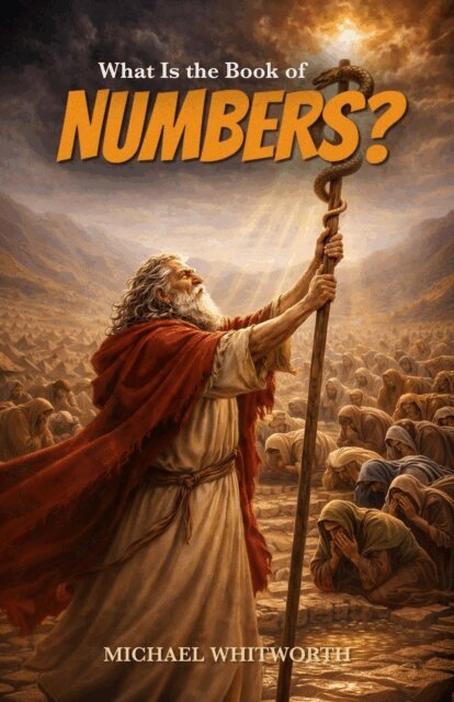 Michael Whitworth - What Is the Book of Numbers?, E-bok