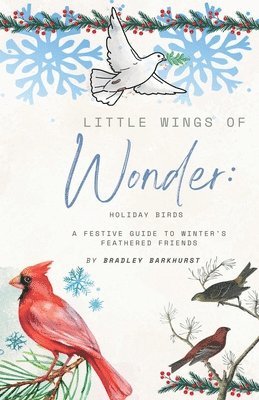 Bradley Barkhurst - Little Wings of Wonder, Häftad. Tillgänglighet: Lägg i varukorg