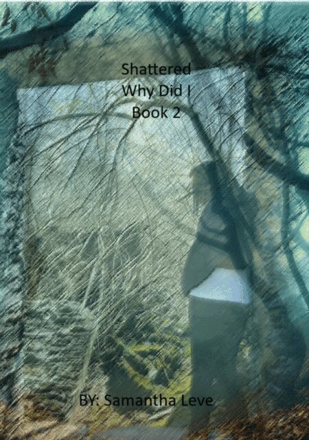 Samantha Leve - Why Did I, E-bok
