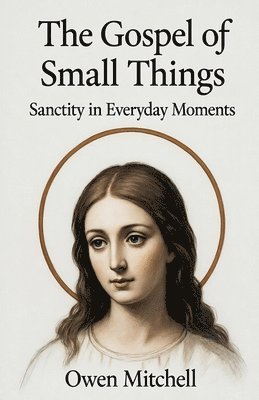 Owen Mitchell - Gospel of Small Things, Häftad
