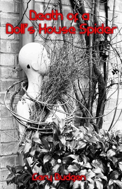 Gary Budgen - Death of a Doll's House Spider, E-bok
