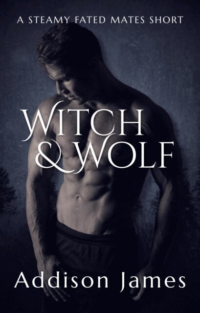 Addison James - Witch & Wolf, E-bok