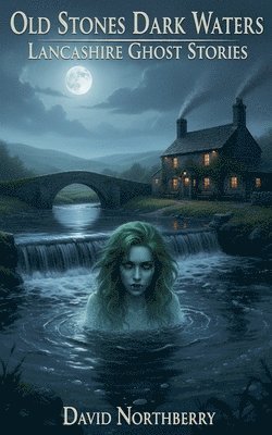 David Northberry - Old Stones Dark Waters, Häftad