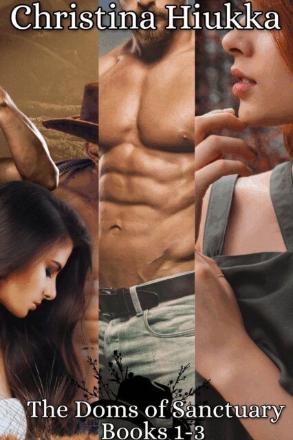 Christina Hiukka - Doms of Sanctuary Box Set 1-3: Saving Riven, Ash's Silent Daddy, & Finding Landry, E-bok