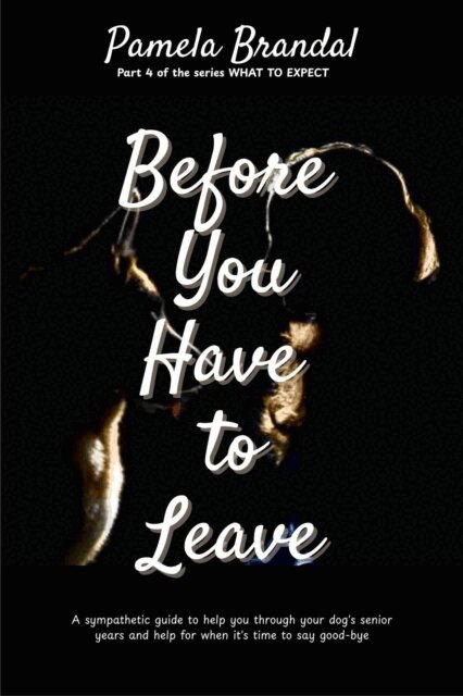 Pamela Brandal - Before you Have to Leave, E-bok