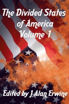 J Alan Erwine - Divided States of America Vol. 1, Häftad