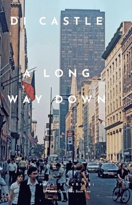 Paul Silvestri - Long Way Down, Häftad