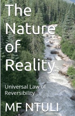 Mf Ntuli - Nature of Reality, Häftad