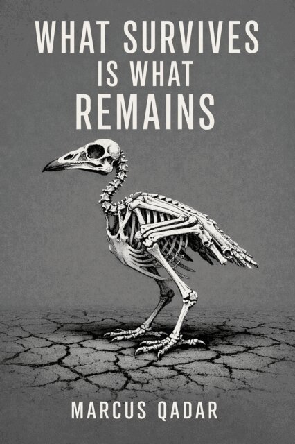 Marcus Qadar - What Survives Is What Remains, E-bok