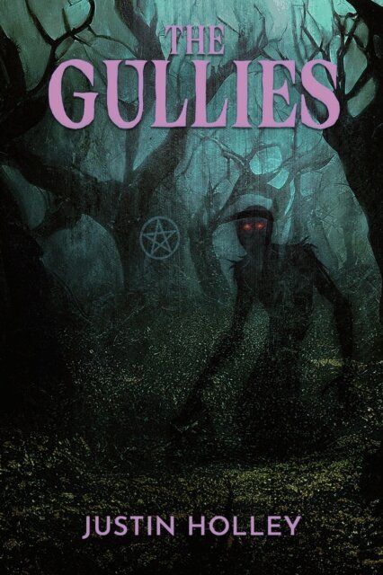 Justin Holley - Gullies, E-bok