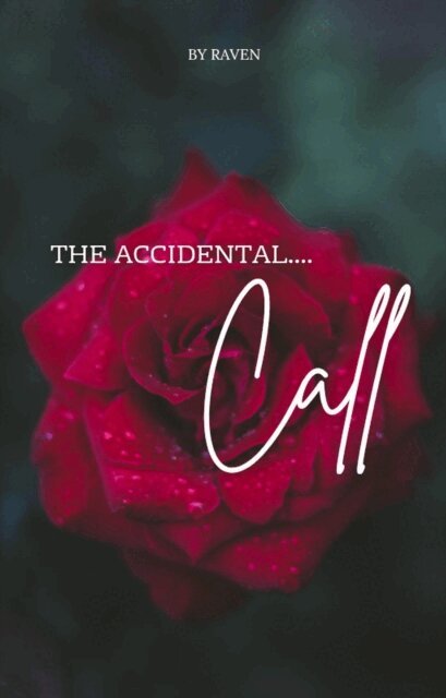 RAVEN - Accidental Call, E-bok