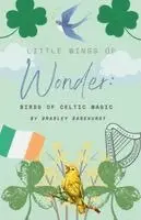 Bradley Barkhurst - Little Wings of Wonder, Häftad. Tillgänglighet: Lägg i varukorg