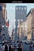 Paul Silvestri - Long Way Down, Häftad