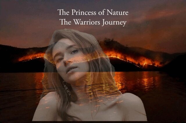David Breen - Princess of Nature The Warriors Journey, E-bok