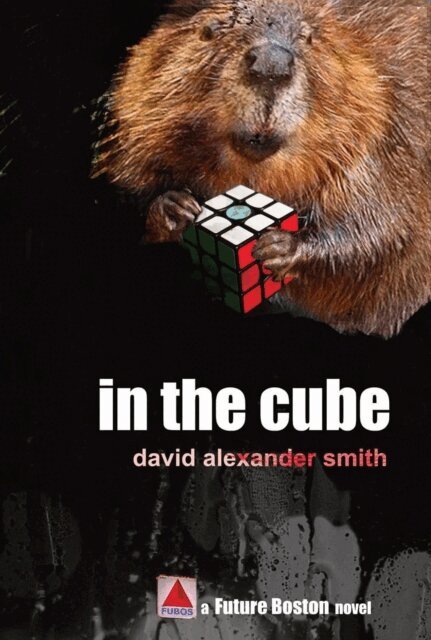 David Alexander Smith - In the Cube, E-bok